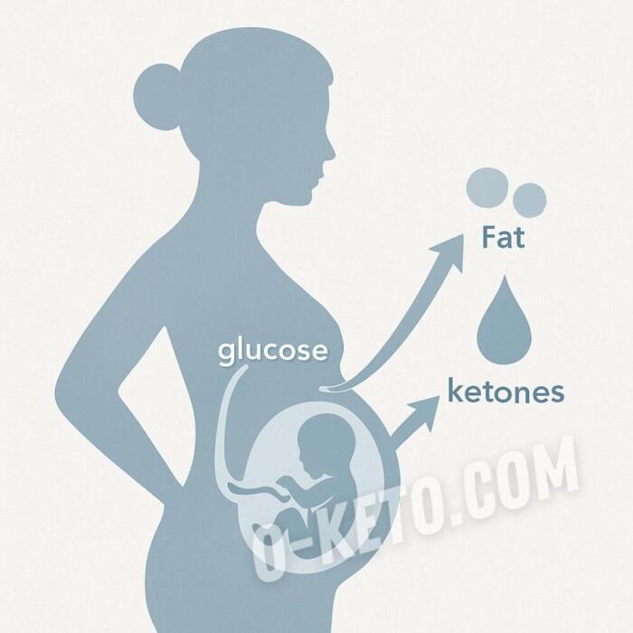 Почему во время беременности кето-диета имеет ряд преимуществ для женщин
