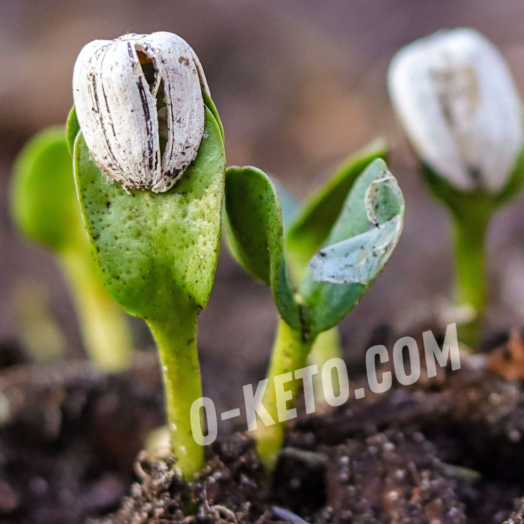 Superaliment pe care îl ascund de voi