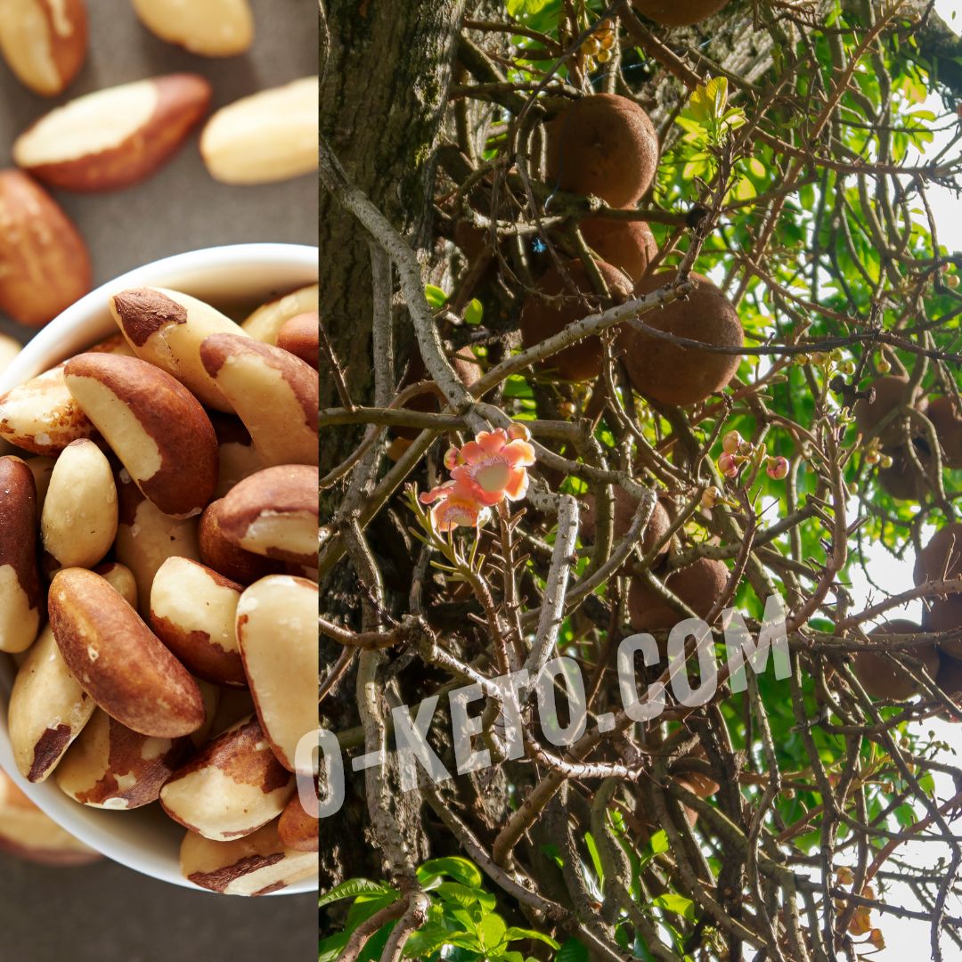 Бразильский орех