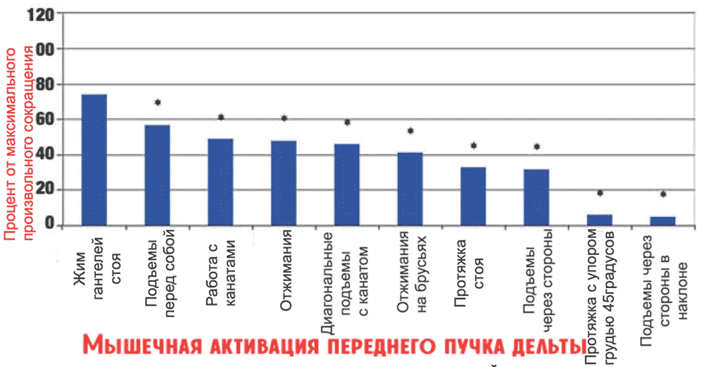 Упражнения для переднего пучка дельты