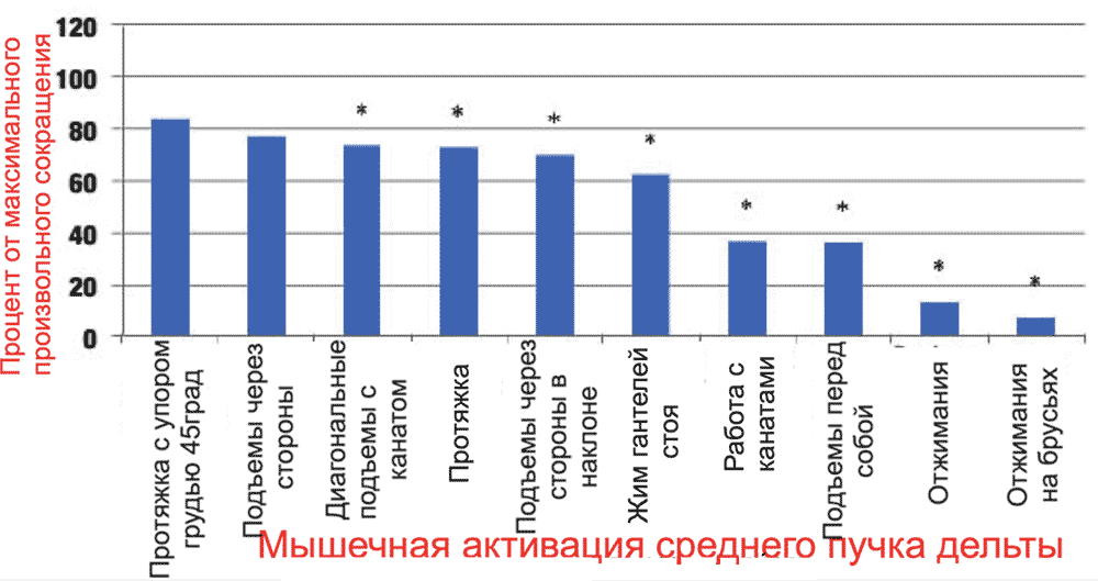 Упражнения для среднего пучка дельты