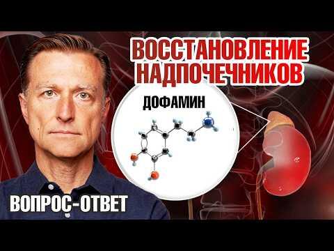 Глутамин для восстановления работы надпочечников и митохондрий ✅ Глутамин для восстановления работы надпочечников и митохондрий ✅