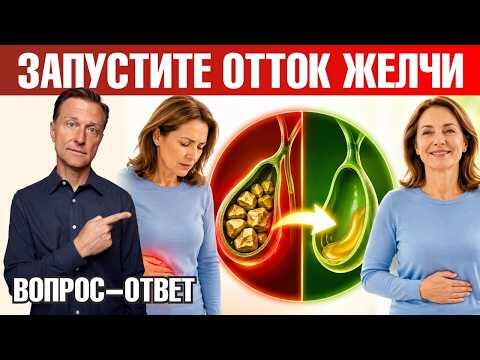 Застой желчи? Как наладить отток желчи и работу желчного пузыря🧐