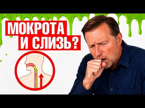 Хроническая мокрота в горле👉при чем здесь желудок?👀 Хроническая мокрота в горле👉при чем здесь желудок?👀