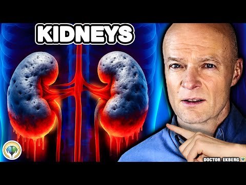 99% Of Early Kidney Disease Is Reversible