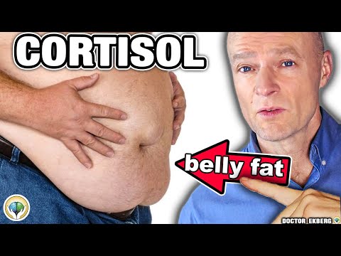 10 Warning Signs Your CORTISOL Is Way Too High! 10 Warning Signs Your CORTISOL Is Way Too High!