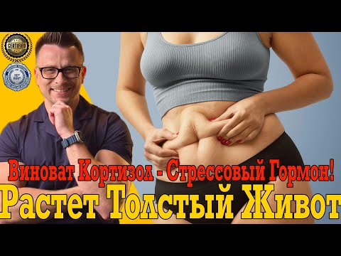 У тебя растёт толстый кортизоловый живот от стресса!