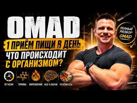 OMAD — Один Приём Пищи в День | Что Происходит с Организмом, Гормонами и Жиросжиганием