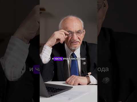 Функции митохондрий