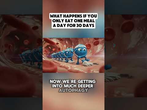 What Happens If You Eat Once a Day for 30 Days? What Happens If You Eat Once a Day for 30 Days?