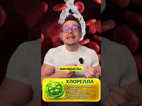 Хлорофилл, хлорелла или спирулина? Что выбрать именно вам Хлорофилл, хлорелла или спирулина? Что выбрать именно вам