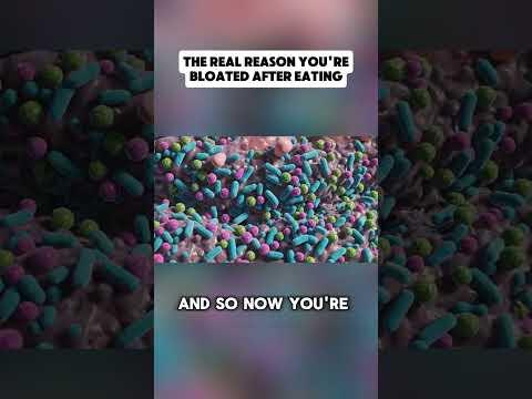 The Real Reason You’re Bloated After Eating (It’s Not the Food) The Real Reason You’re Bloated After Eating (It’s Not the Food)