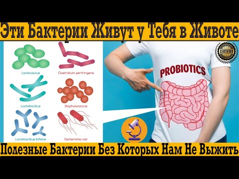 Полезные бактерии для здорового кишечника! Выбираем ЛУЧШИЕ ПРОБИОТИКИ для ЖКТ!