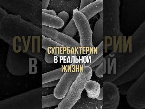 Супербактерии в реальной жизни