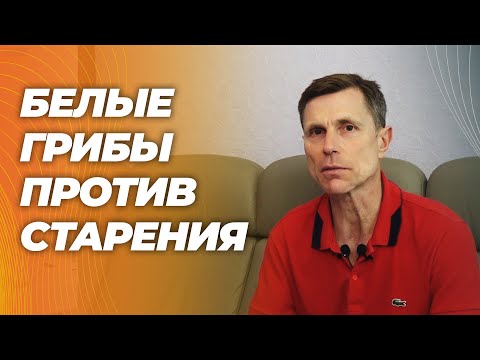 Эрготионеин-в белых грибах повышает спортивные результаты, улучшает функцию митохондрий.