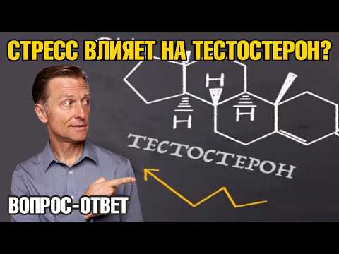 Почему стресс блокирует выработку тестостерона?👀