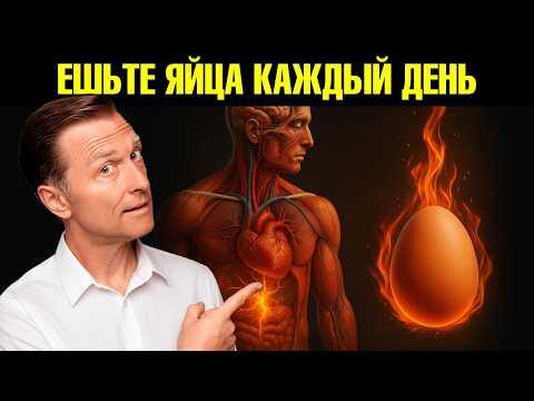 Что будет, если есть яйца каждый день?🧐 Что будет, если есть яйца каждый день?🧐