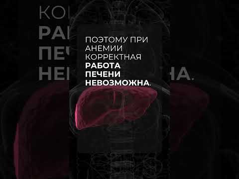 Печень