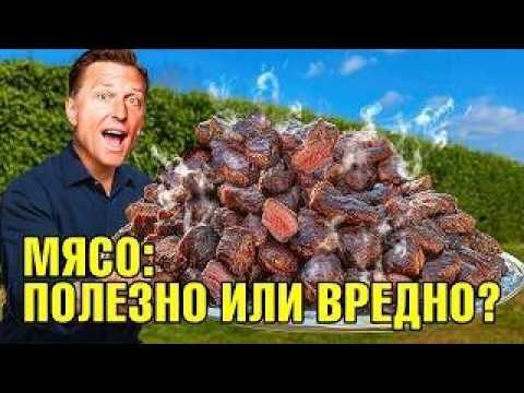 Что будет, если 30 дней есть ТОЛЬКО мясо?🧐 Что будет, если 30 дней есть ТОЛЬКО мясо?🧐