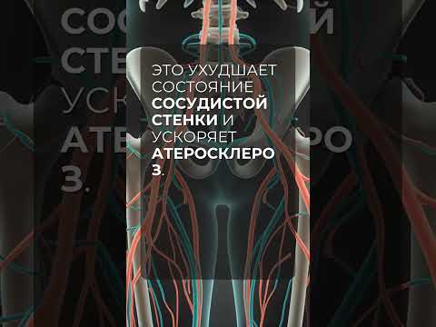 Углеводы