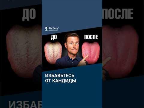 Как избавиться от кандиды за 24 часа — реальный протокол Как избавиться от кандиды за 24 часа — реальный протокол