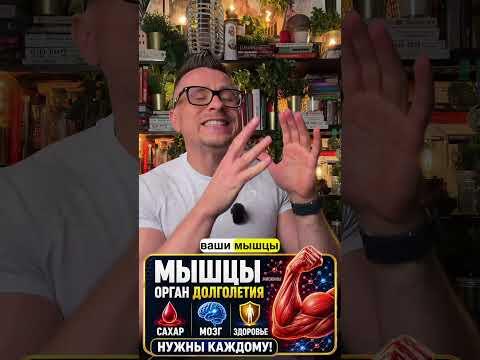 Мышцы — главный орган долголетия, о котором никто не говорит