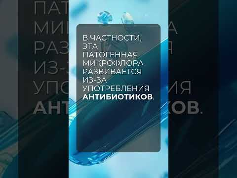 Лактоза