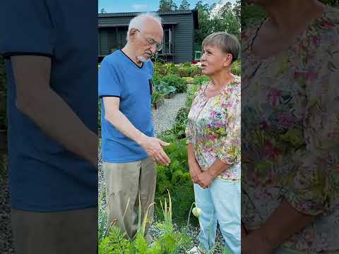 Чеснок, часть 4 Чеснок, часть 4