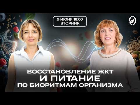 Восстановление ЖКТ и питание по биоритмам организма