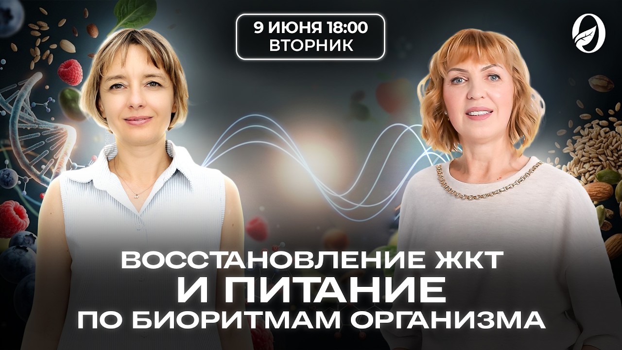 Восстановление ЖКТ и питание по биоритмам организма