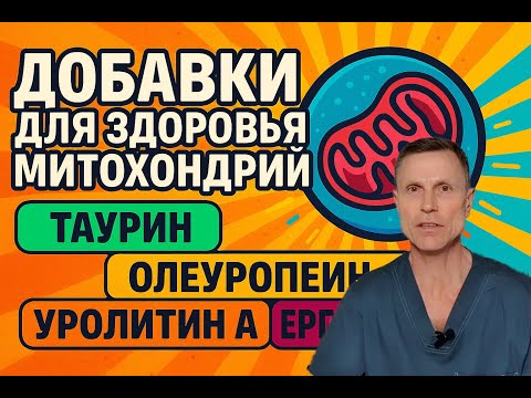 Главный фактор здоровья - состояние ваших митохондрий. Самые эффективные добавки.