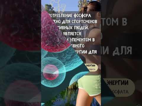 Почему фосфор важен для здоровья человека. Функции фосфора в организме Почему фосфор важен для здоровья человека. Функции фосфора в организме