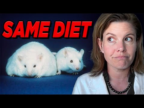 The hidden hormone behind insulin resistance nobody talks about