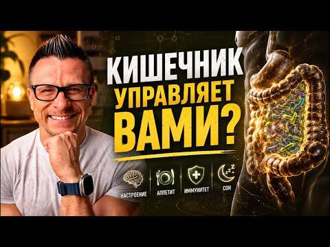 Кишечник управляет вами? Как микробиом влияет на аппетит, иммунитет, настроение и сон Кишечник управляет вами? Как микробиом влияет на аппетит, иммунитет, настроение и сон