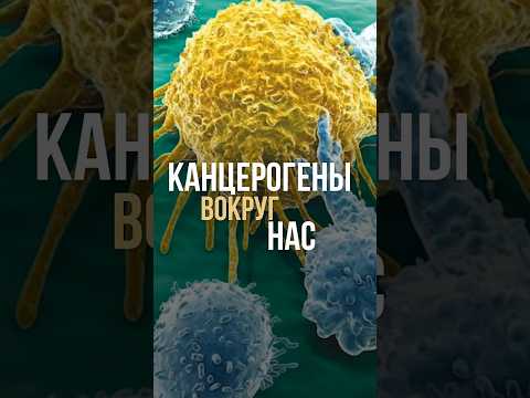 Канцерогены вокруг нас Канцерогены вокруг нас