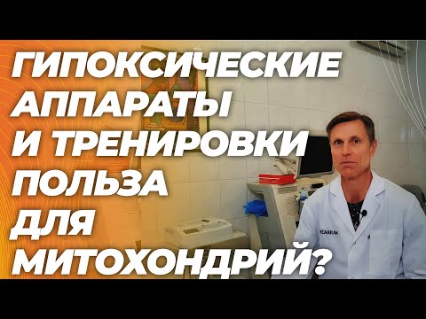 Зачем нужны гипоксические тренировки и есть ли польза для митохондрий?