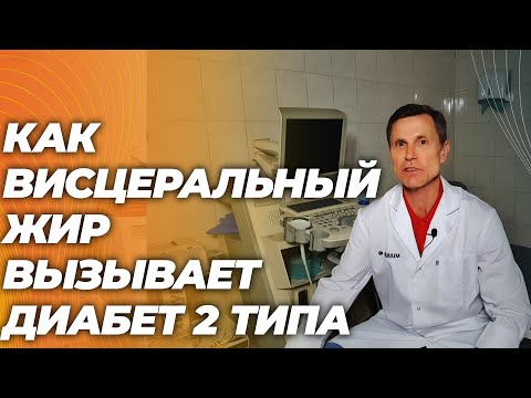 Как висцеральный жир вызывает диабет 2 типа. Простое объяснение. Теперь понятно над чем работать.
