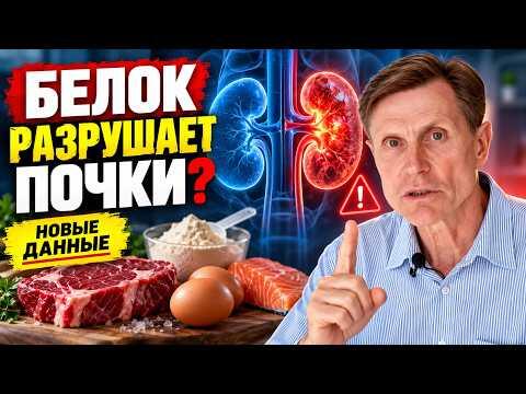 Белок разрушает почки? Сколько белка безопасно? Новые данные. Белок разрушает почки? Сколько белка безопасно? Новые данные.