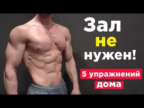 5 УПРАЖНЕНИЙ заменят ЗАЛ! Тренировка ВСЕГО ТЕЛА дома! 5 УПРАЖНЕНИЙ заменят ЗАЛ! Тренировка ВСЕГО ТЕЛА дома!