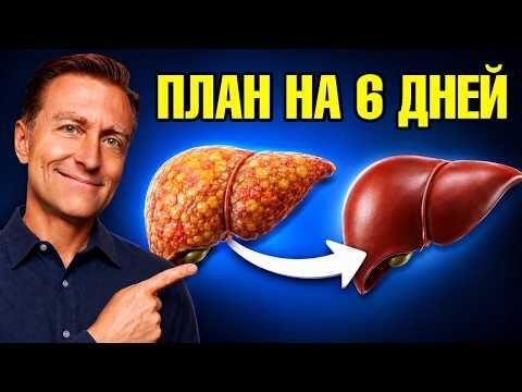 Самый БЫСТРЫЙ способ вывести жир из печени🙌