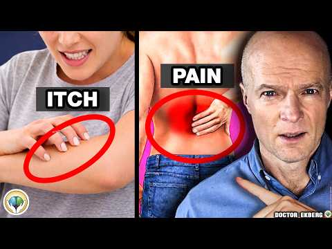 10 Signs Your KIDNEYS Are Crying For Help