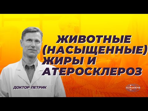 Как жирное мясо и сливочное масло повышают липопротеины низкой плотности и риски. Как жирное мясо и сливочное масло повышают липопротеины низкой плотности и риски.
