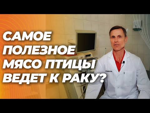 Курица, индейка и другое мясо птиц вызывает рак? Курица, индейка и другое мясо птиц вызывает рак?