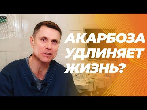 Акарбоза достоверно продлевает жизнь мышам. Стоит ли применять ее людям? Акарбоза достоверно продлевает жизнь мышам. Стоит ли применять ее людям?