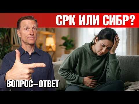 СРК или СИБР: почему кишечник воспален и что с этим делать?🙌