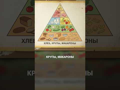 НОВАЯ пирамида питания! #питание #здоровье #правильноепитание НОВАЯ пирамида питания! #питание #здоровье #правильноепитание