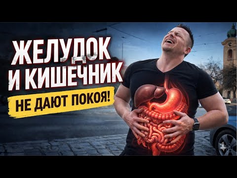 Твой желудок и кишечник УМОЛЯЮТ о помощи — ты игнорируешь это! Твой желудок и кишечник УМОЛЯЮТ о помощи — ты игнорируешь это!