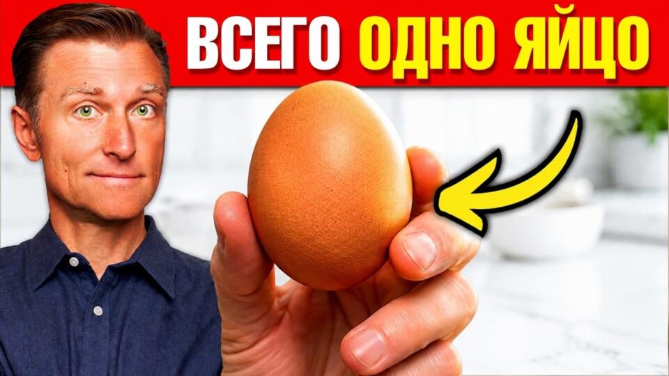 Почему яйца — лучший суперфуд для мозга: вся правда🙌 Почему яйца — лучший суперфуд для мозга: вся правда🙌