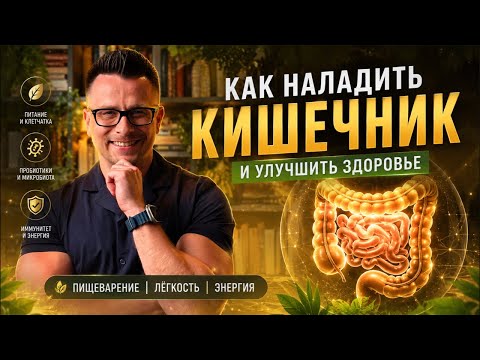 Почему страдает кишечник? Всё о вздутии, микробиоте, питании и здоровье ЖКТ