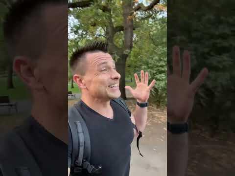 Просто потрясающее субботнее утро! ☀️ Просто потрясающее субботнее утро! ☀️